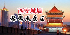 国产操逼冒白浆中国陕西-西安城墙旅游风景区